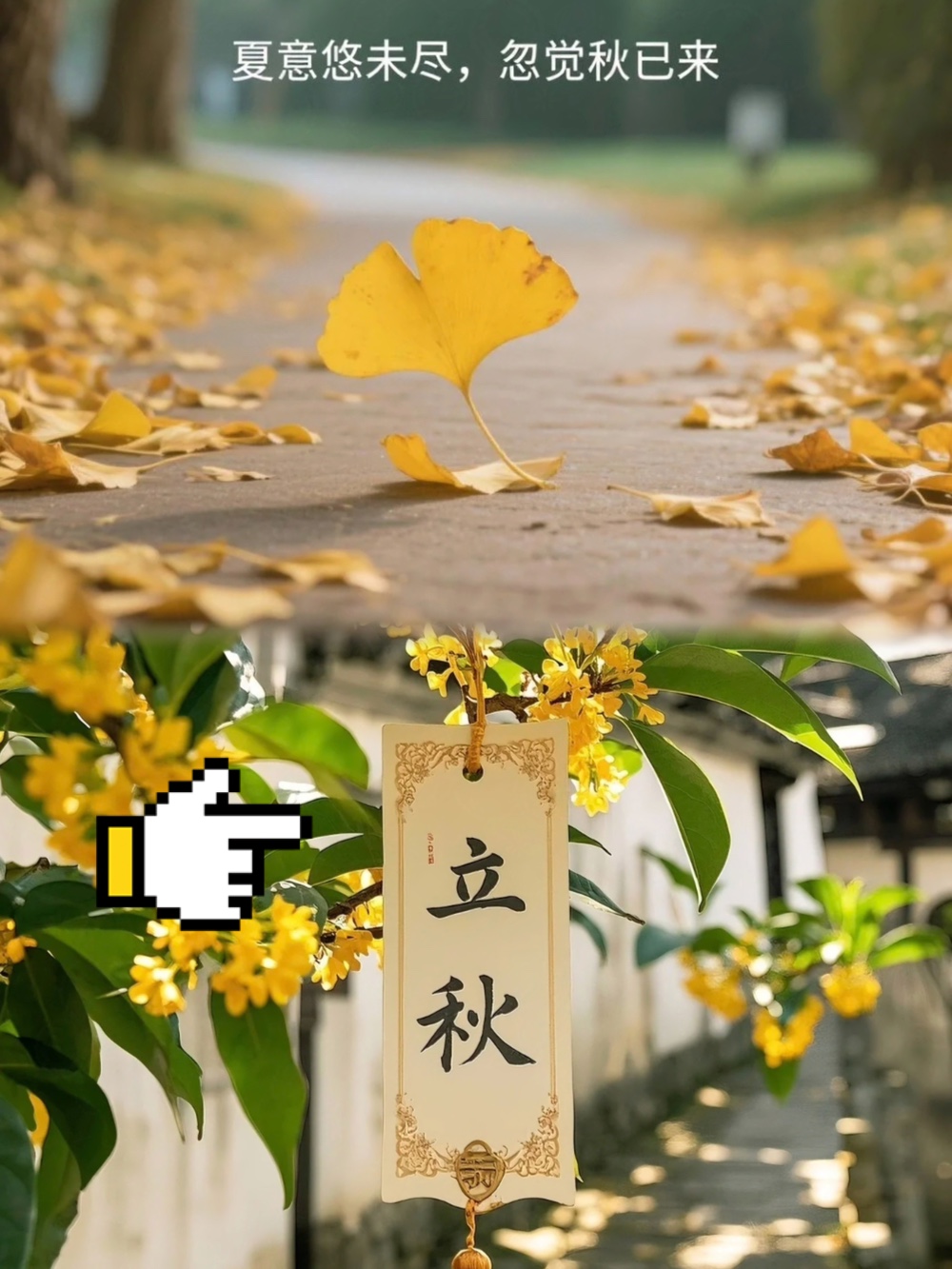 娱乐生活 第108页