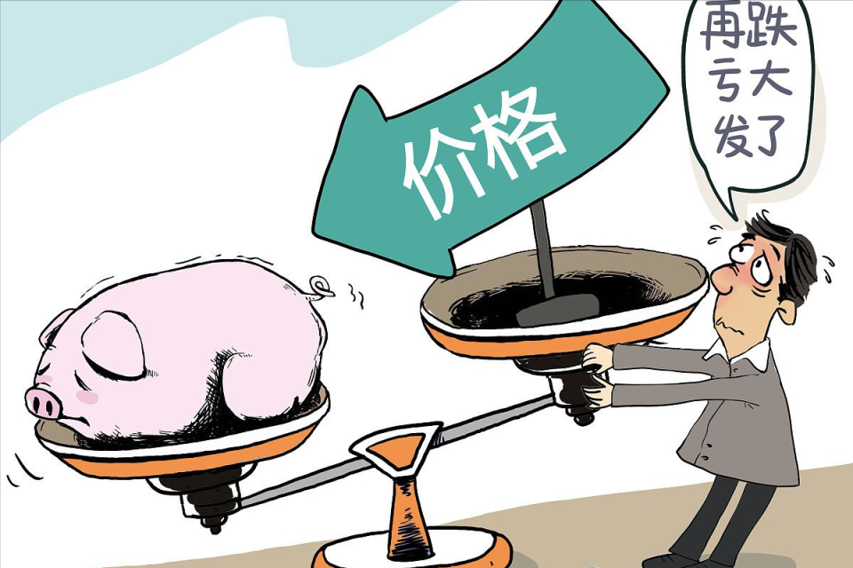 地方新闻 第85页