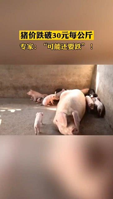 港澳新闻 第85页