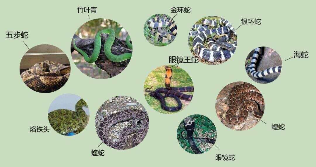 热点生活 第92页