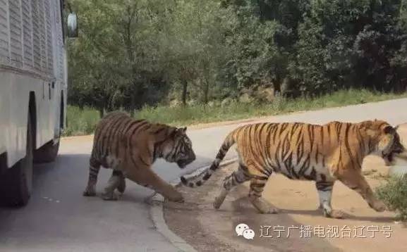 热点生活 第37页