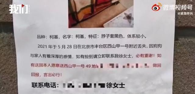 地方新闻 第29页